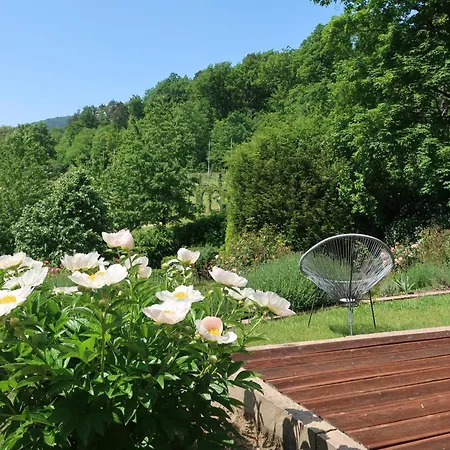 Apartment Im Rosentraum Baden-Baden